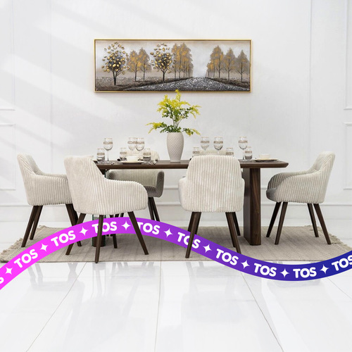 Set of 6 Dinner Chairs Cleaning Service