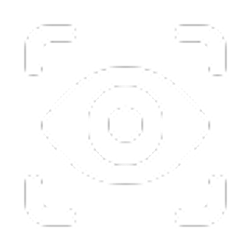 toponeservices-vision